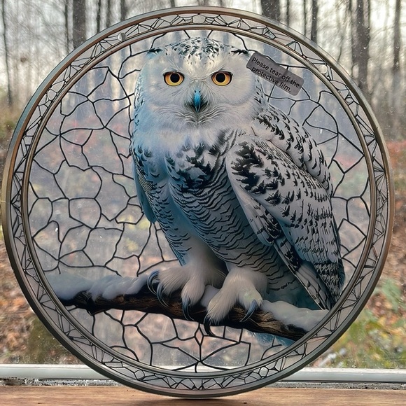 Suncatcher Acrylic White Snowy Owl Bird Wildlife Cottage Cabin Decor 8” - Picture 3 of 3